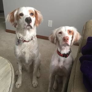 Meet your Posher, Brittney